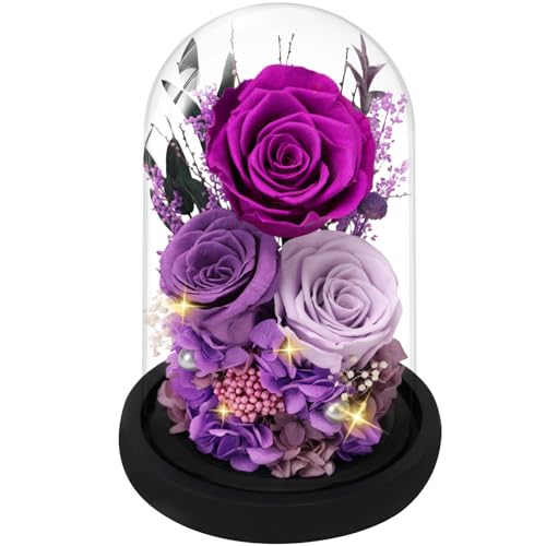 Preserved Purple Rose in Glass Dome with LED Lights, Romantic Gift for Her