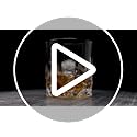 LEMONSODA Crystal Cut Old Fashioned Glass Set - 10oz/12oz, Set of 2, Lead-Free Rocks Glasses for Whiskey & Cocktails