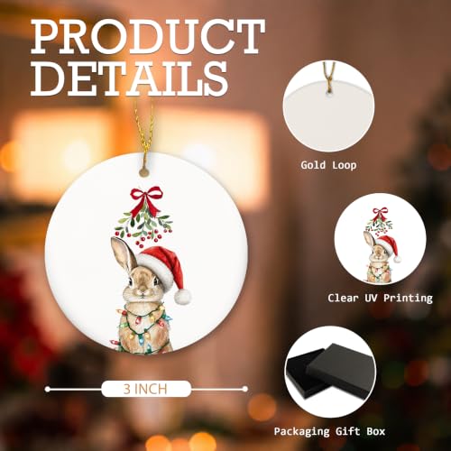 MIBEZE Santa Bunny Christmas Ceramic Ornament Gift - Variation 71