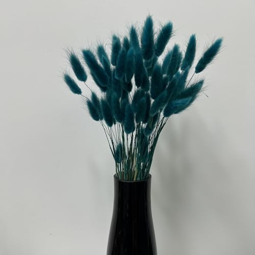 HSTEY 120pcs Bunny Tails Dried Pampas Grass Bouquet - Teal, 17 Inch