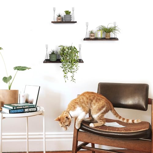 Rustic Wood Floating Wall Shelves - Set of 3 No-Drill Display Racks
