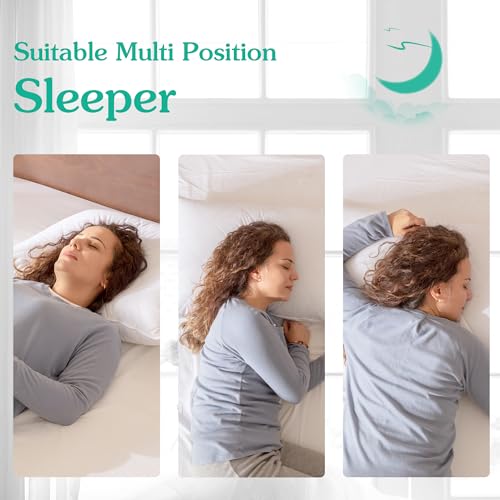 Medium Firm Queen/Standard Goose Feather Pillow - 600 Thread Count Cotton