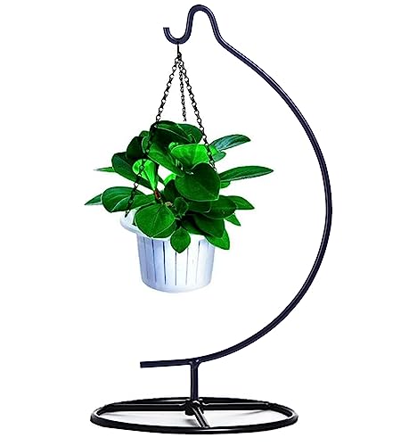 Iron Ornament Display Stand with Wood Base for Hanging Plants and Glass Globes