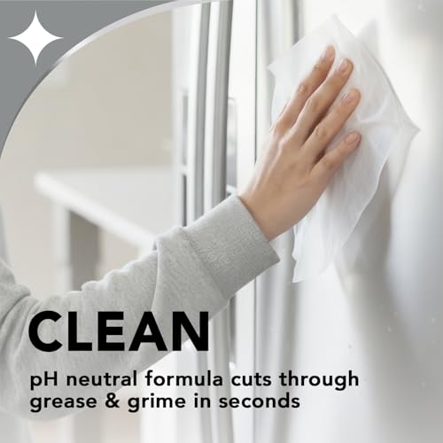 Stainless Steel Cleaner & Polisher Wipes - 30 Count, Streak-Free Shine