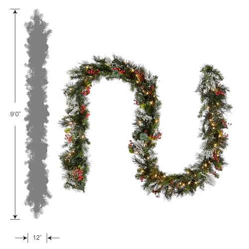 National Tree Company 9ft Pre-Lit Wintry Pine Flocked Christmas Garland - Indoor/Outdoor Decor