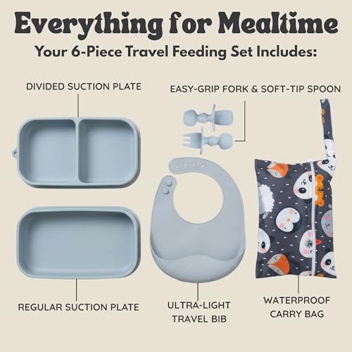 Baby Travel Feeding Set with Silicone Suction Plates and Case