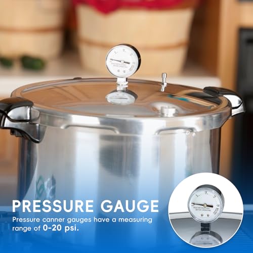 Pressure Cooker Canner Steam Gauge Replacement, 0-20 PSI Accurate Monitor