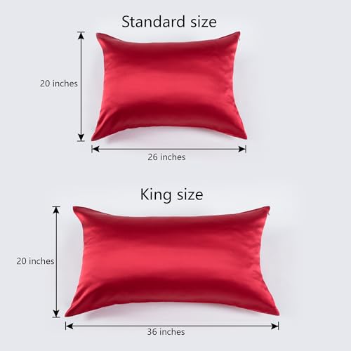 CloudDwelling 100% Mulberry Silk Pillowcase 22 Momme 6A Red 20x26 with Hidden Zipper