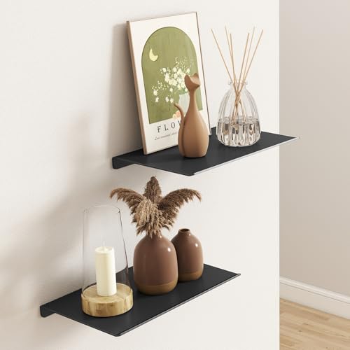 8-Inch Floating Wall Shelves, Matte Black Aluminum Display Ledge, 2-Pack