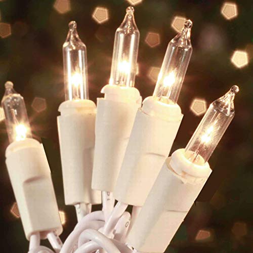 HISHINY Christmas Lights 100 Count Clear Mini String Lights 21ft White Wire