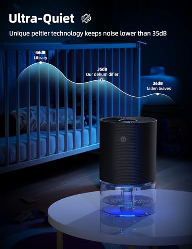 Small Dehumidifier for Bedroom 25oz Water Tank Ultra-Quiet Auto-Off