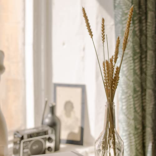100 Stems Natural Dried Wheat Stalks for Home Decor and Floral Crafts