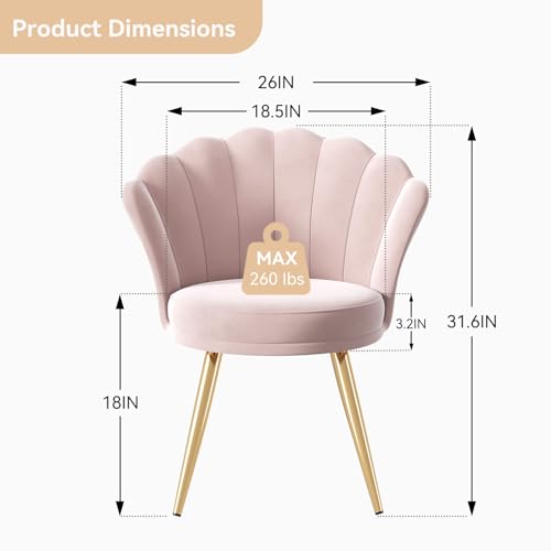 Velvet Accent Chair with Gold Metal Legs, Shell-Shaped Vanity Chair