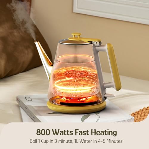 Hazel Quinn Floral Printed 1L Electric Kettle – Compact Personal Tea & Coffee Maker