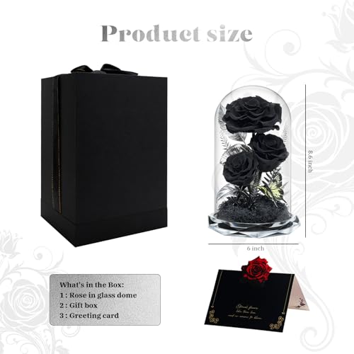 Preserved Black Roses in Glass Dome - Eternal Real Flowers for Home Decor
