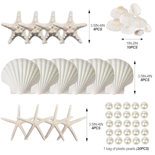 16-Piece Natural Starfish & Scallop Shells with Pearls (3-4 Inch) for Crafts