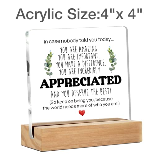 Motivational Quote Acrylic Desk Sign - Appreciation Gift 4x4 Inches