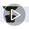 3ft Artificial Boxwood 3-Ball Topiary Tree, UV Resistant Faux Plant