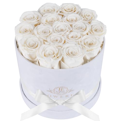 17 Preserved Real Roses in Luxury Velvet Gift Box - Eternal Flowers