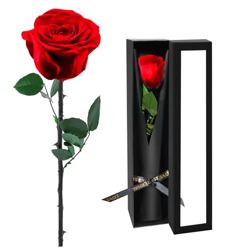 Preserved Red Rose in Keepsake Box - Real Lasting Flower Gift for Her
