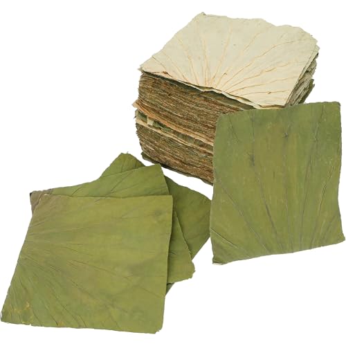 100 Pcs Dried Lotus Leaves for Cooking and Food Wrapping 8x8 Inch