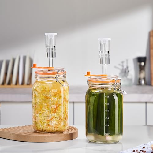 Glass Fermentation Jar Kit 1.5L 2 Pack with Airlock and Weights