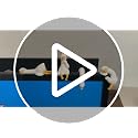 4-Piece Resin Goose Figurine Set for Computer Monitor and Desk Decor