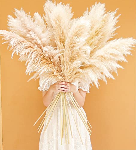 46-Inch Natural Dried Pampas Grass Decor - 10 Stems Fluffy Boho Bouquet