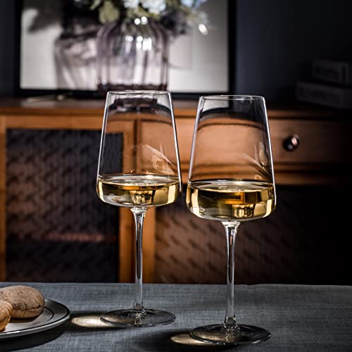 Hand Blown Crystal Wine Glasses Set - 19 oz Long Stem Tulip Wine Glass, 4 Pack