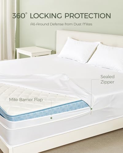 Hypoallergenic Cotton Mattress Protector - Queen Size Encasement