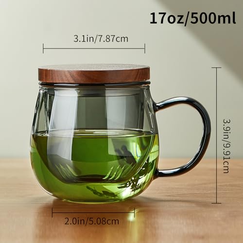 DOPUDO 17 oz Glass Teacup with Infuser and Lid, Borosilicate Tea Mug 500 ml