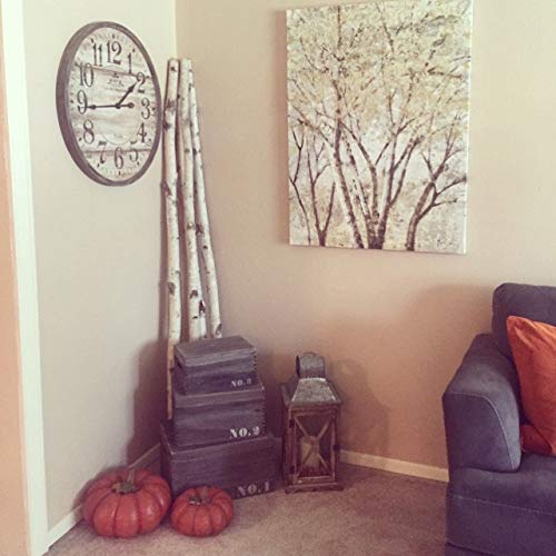 Natural White Birch Poles for Home Decor, 6 ft x 1-1.5 inch (3 Pack)