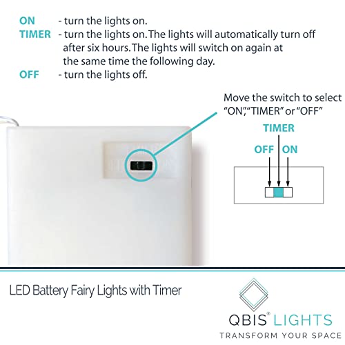 QBIS 40 Warm White Battery-Operated Fairy Lights, Silver Wire, 6.5ft - 1PK