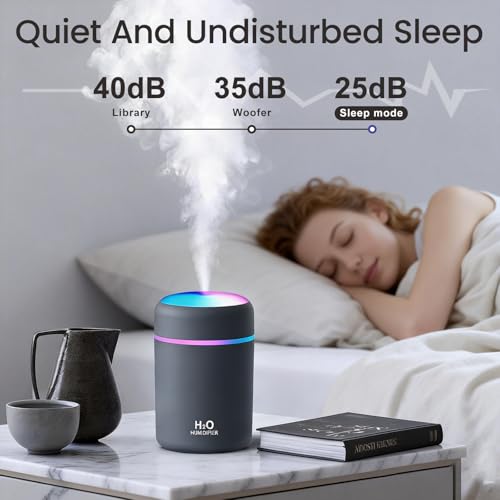 Portable Mini USB Humidifier 300ml Desktop Personal Cool Mist