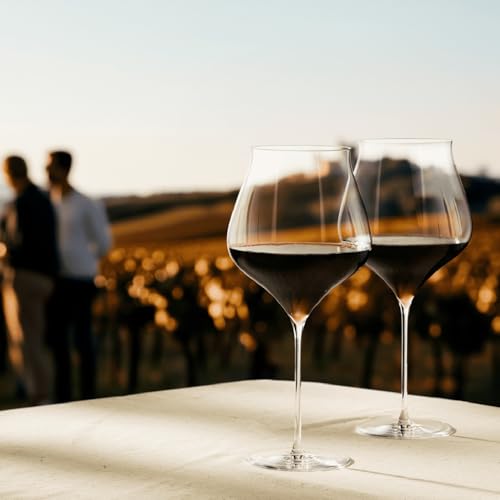Holmegaard Notes Burgundy Wine Glass Set of 2 - Fine Crystal, 31.8 oz
