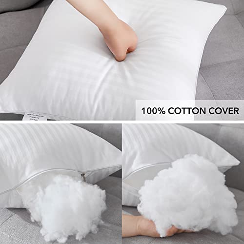 Oubonun 18x18 Throw Pillow Inserts Set of 2 - Fluffy Down Alternative Cushions
