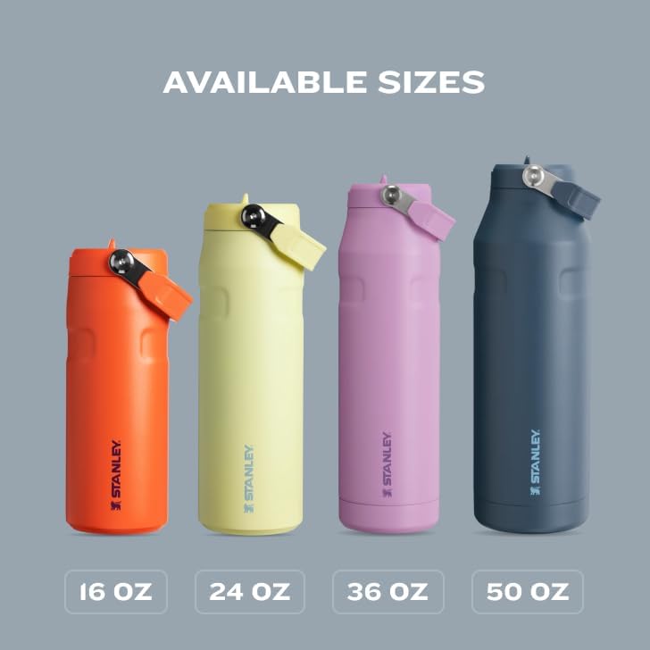 Stanley IceFlow 2.0 Water Bottle - 24 OZ Insulated Stainless Steel | Lightweight, Leak-Resistant, BPA-Free | Ash Color