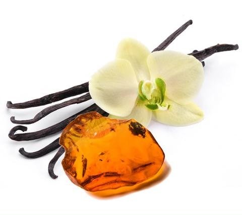 Ceramic Light Bulb Fragrance Ring with Vanilla Oil Sample Vial