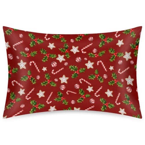 Christmas Satin Silk Pillowcase for Hair and Skin Queen Size – YoYoYuchong (B Candy Cane Berry 30 x 20)