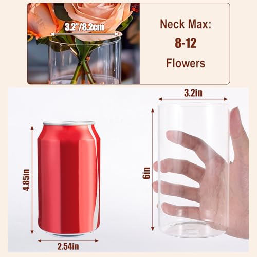 Clear Glass Cylinder Vases 6 Inch - Set of 12 Flower & Candle Holders