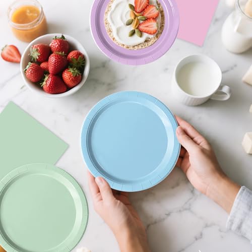 Oigco Pastel Paper Plates and Napkins Set - Rainbow Party Decorations, 60 pcs, Birthday Baby Shower Wedding