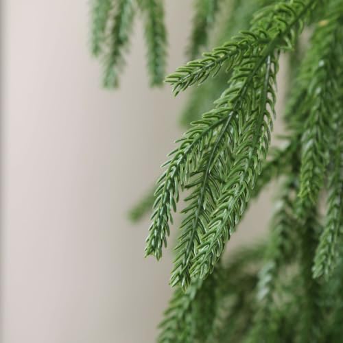 Tasruwat 9ft Norfolk Pine Garland - 2 Pack Extra Full Artificial Christmas Decor
