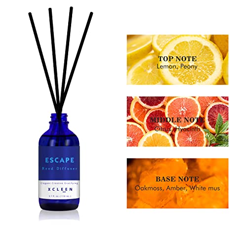 Aromatherapy Reed Diffuser Set with 6 Rattan Sticks - 3.7 oz (110ml)