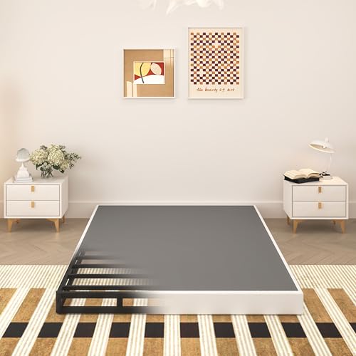 TROZULER 5 Inch Queen Box Spring, Heavy Duty Metal Mattress Foundation
