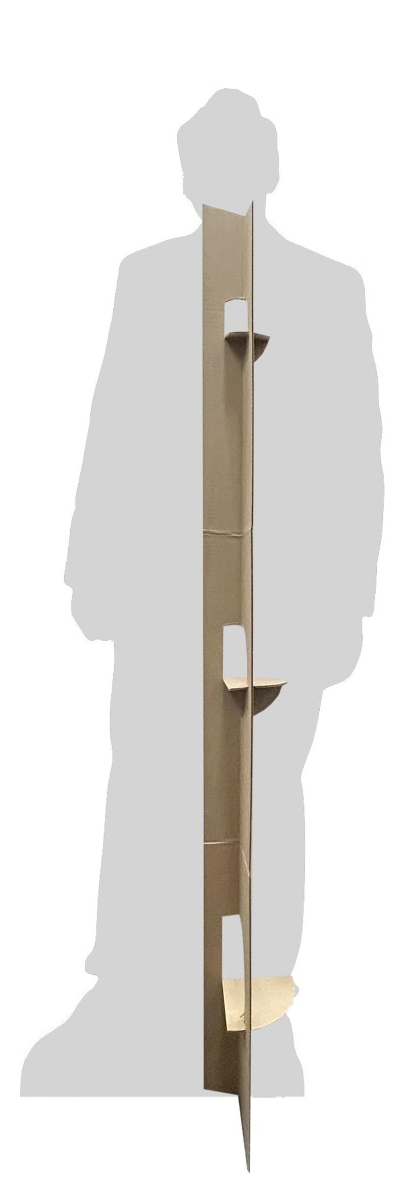CS757 Nicolas Cage Cardboard Cutout Standup