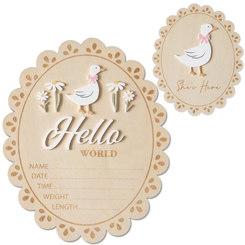 Double-Sided Wooden Baby Announcement Sign - Hello World Photo Prop