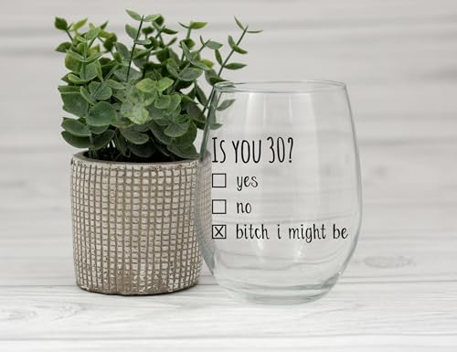 Gelid 30th Birthday Wine Glass - Funny Is You 30 Gift for Men Women, 15 oz
