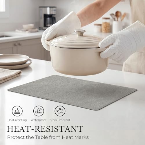 Reversible Faux Leather Placemats Set of 6, Heat Resistant Table Mats
