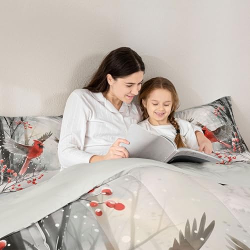 Erosebridal Christmas Cardinals Twin Comforter Set - Merry Xmas Kids Bedding