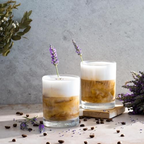 Le'raze 12-Pack Heavy Base Rocks Glasses - 10oz Whiskey & Cocktail Glass Set